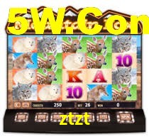 ztzt: A Experiência de Casino com Jogos de Mesa ao Vivo